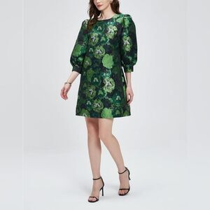 🩵⏭️NWOT Green Jacquard Floral Puff Sleeve Dress Small